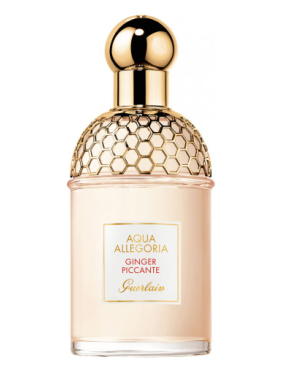 Perfumy Aqua Allegoria Ginger Piccante | Perfumy do torebki